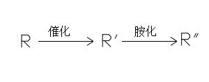 加成反應(yīng)及胺化